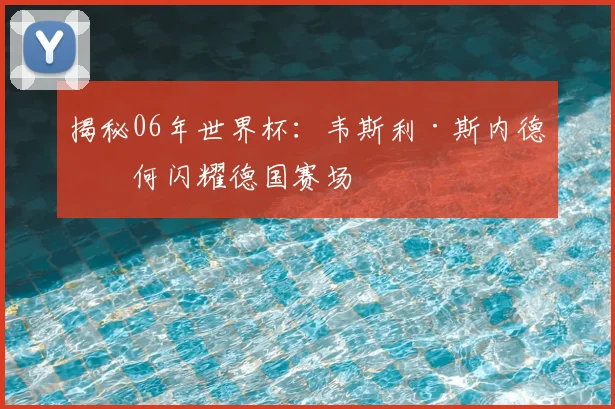 揭秘06年世界杯:韦斯利·斯内德如何闪耀德国赛场