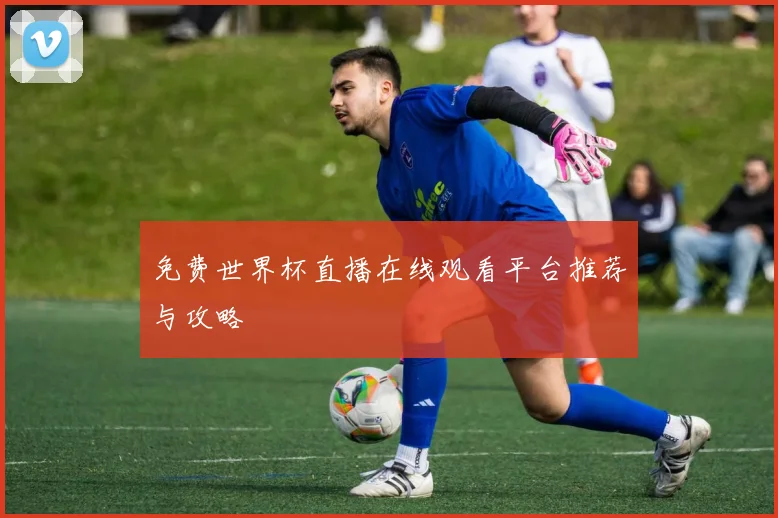 免费世界杯直播在线观看平台推荐与攻略